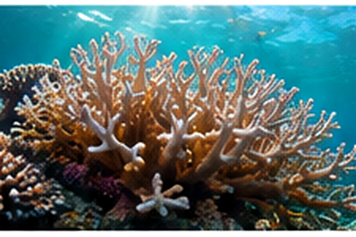 Koloni terumbu karang sehat di bawah laut